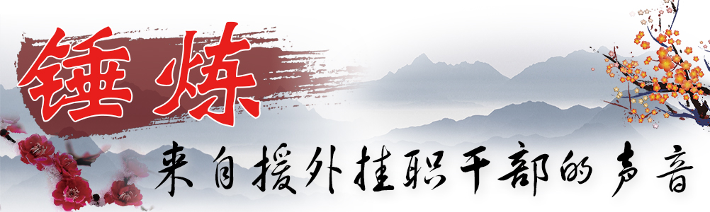 锤炼--来自援外挂职干部的声音